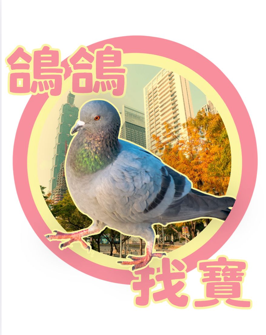 鴿鴿找寶
